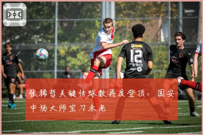 张稀哲关键传球数再度登顶,国安中场大师宝刀未老