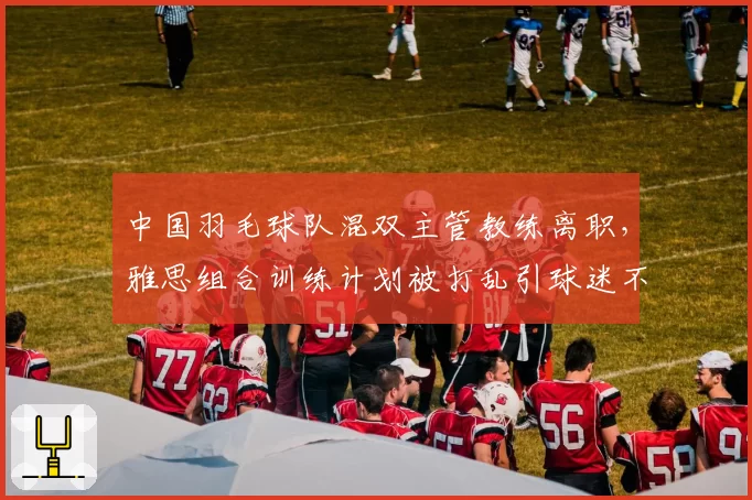 中国羽毛球队混双主管教练离职,雅思组合训练计划被打乱引球迷不满