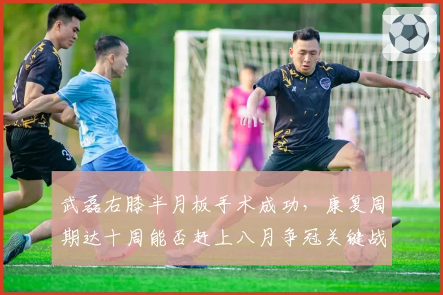 武磊右膝半月板手术成功,康复周期达十周能否赶上八月争冠关键战?