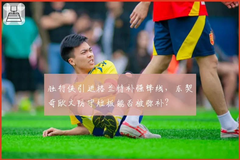 独行侠引进格兰特补强锋线，东契奇欧文防守短板能否被弥补？