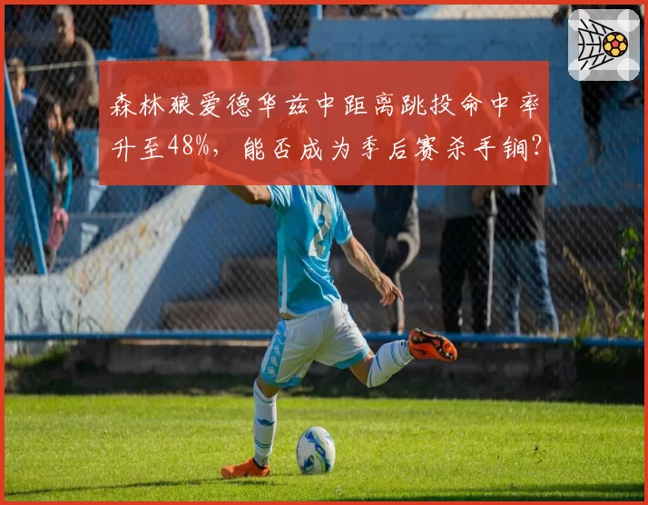 森林狼爱德华兹中距离跳投命中率升至48%，能否成为季后赛杀手锏？