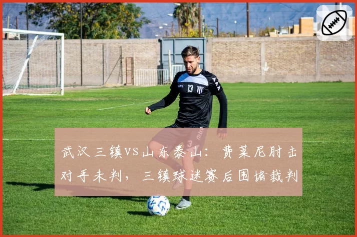武汉三镇vs山东泰山：费莱尼肘击对手未判，三镇球迷赛后围堵裁判大巴，事情如何演变？